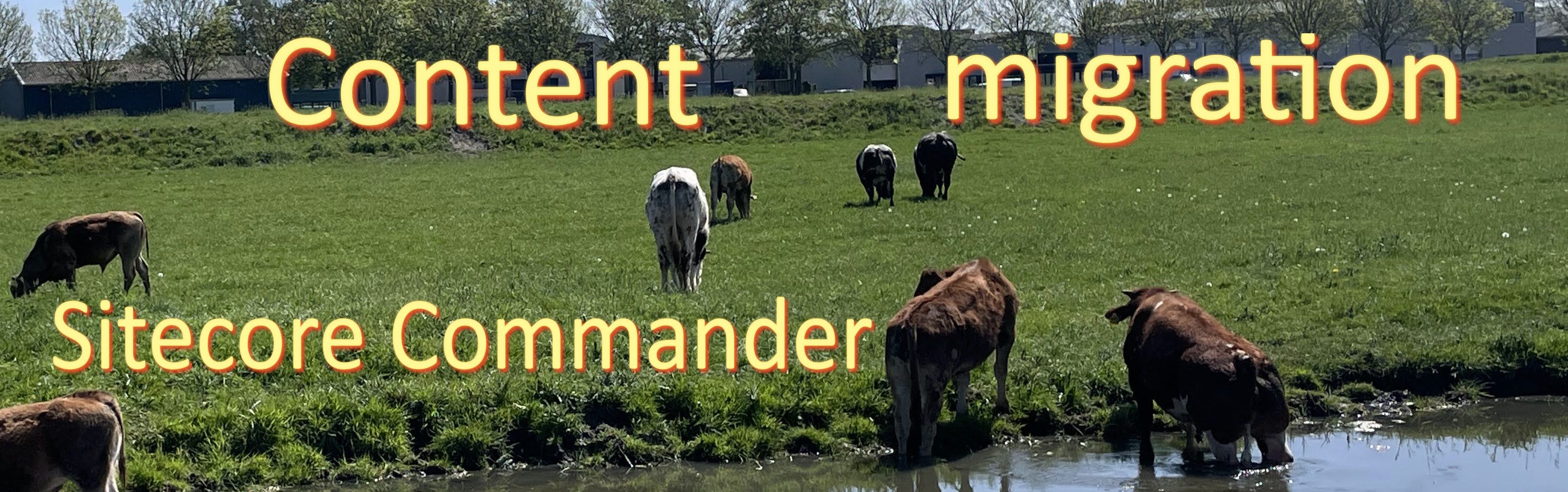 Sitecore Content Migration Part 2: Why Sitecore Commander